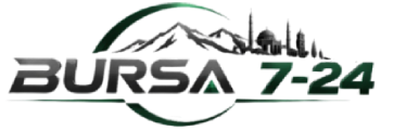6aa1241b8917e.png